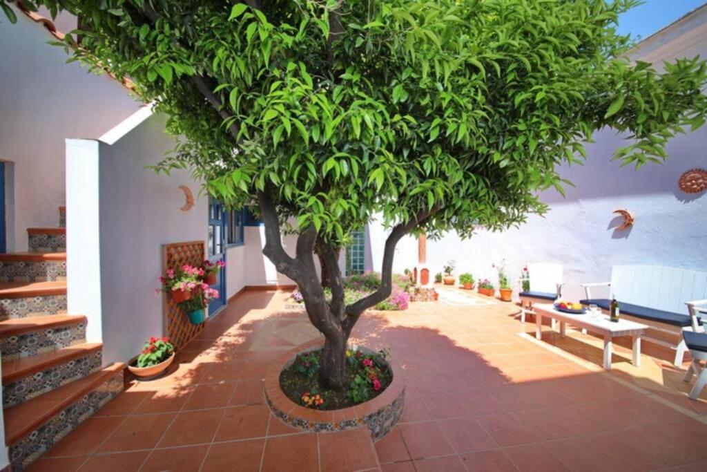 Philoxenia Guest House Bandar Skopelos Luaran gambar
