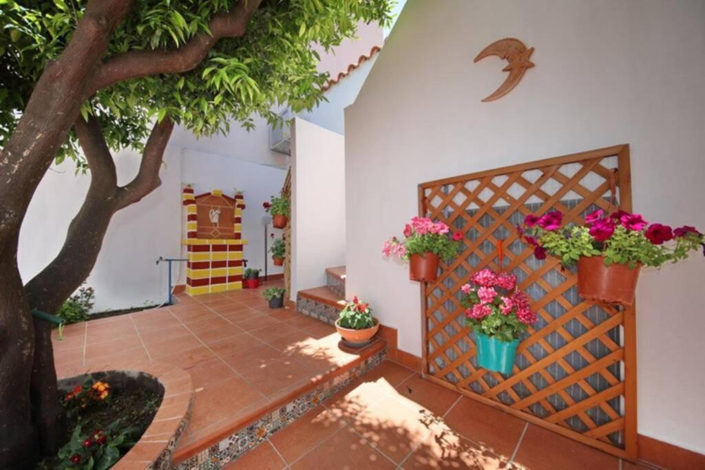 Philoxenia Guest House Bandar Skopelos Luaran gambar